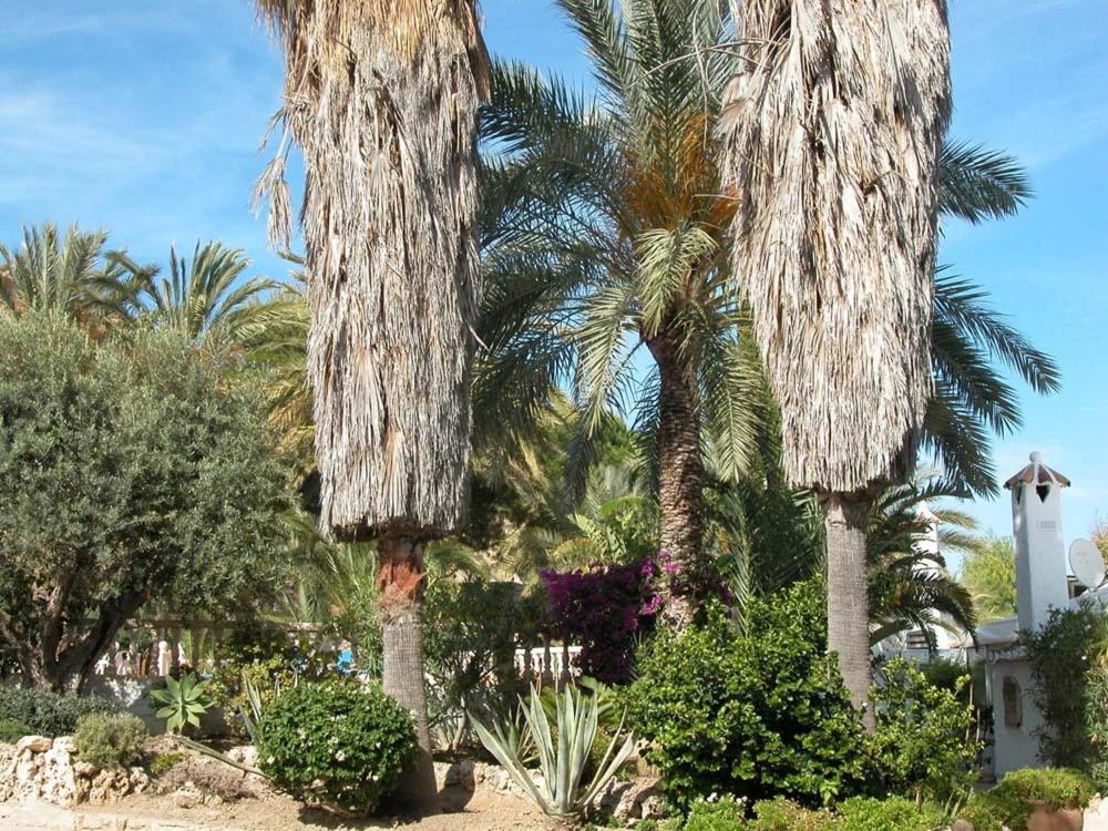 Apartamentos Oasis De Las Palmeras Bolnuevo Kültér fotó